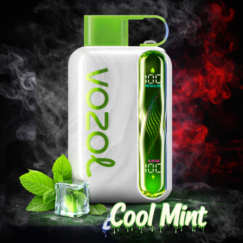 Vozol Star 40K – Cool Mint